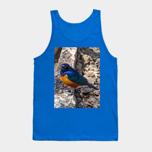 Stunning Blue and Orange Starling Bird of Africa Tank Top